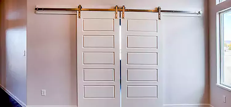 Glass Barn Door with Installation Hardware Kit Altadena