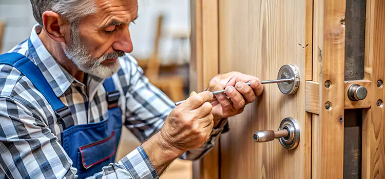 Mortise Replacement Lock Altadena